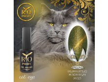 КГ 25 дымчатый мейн кун.jpg
