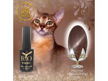 cat Eye 26 милая абессинка.jpg