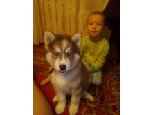 IMG 20161219 234501.jpg