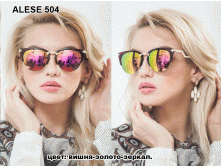 ALESE 504 -- 600