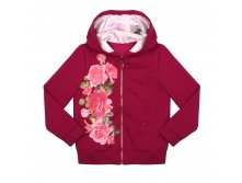 Спортивная кофта СК-3812-9 Rose