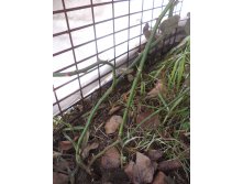 2017.03.13. (26).JPG