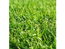 Травосмесь Гном Стандарт.jpg