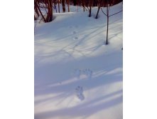 IMG 20170311 122005.jpg