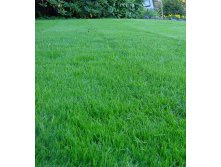 Травосмесь Универсальная Стандарт.jpg