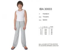  IBA30003 Academia.jpg