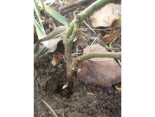 2017.03.13. (24).JPG