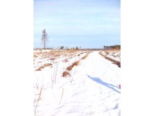 IMG 20170312 094155.jpg
