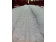 IMG 20170319 090941.jpg