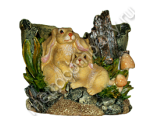 .11039      1418   330+%.jpg