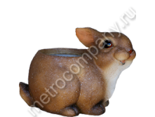 .11286     2324   345+%.jpg