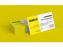      Seneco