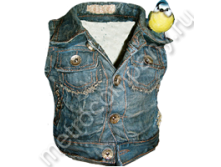 .11171      3027   732+%.jpg