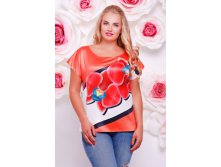 25236 516  - 50-56.jpeg