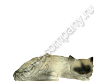 .12480       1236   357 +%.jpg