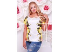  -25238 516  - 50-56.jpeg