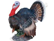 .12551      4944   1394 +%.jpg