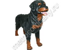 .12317       7590   2102 +%.jpg