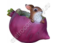 .11274      2224   330+%.jpg