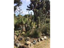 IMG-20170324-WA0027.jpg