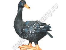 .12412     8050   747 +%.jpg