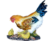 .12553       4137   933 +%.jpg