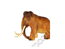 .12272     92103   6460 +%.jpg