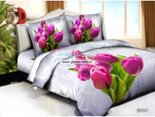 КПБ Поплин 5D 1,5 сп. &#8470;Б-ВР-041.jpg