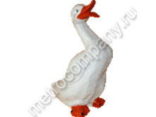 .12091      4023   508 +%.jpg