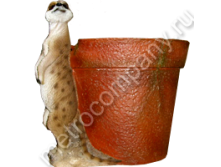 .11216      2322   403 +%.jpg