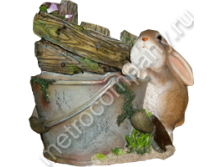 .11205        2624   443+%.jpg