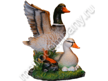 .12698        4238   690 +%.jpg