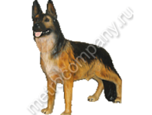 .12293      8495   2508 +%.jpg