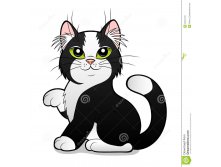 Cartoon-black-white-cat-background-40375470.jpg