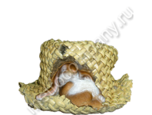 .11099      2031   499 +%.jpg