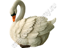 .11105     3028   433+%.jpg