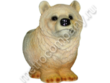 .11005     2022   304 +%.jpg