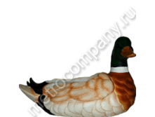 .11014    1325   340 +%.jpg