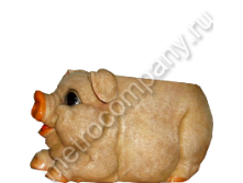 .11215       1325   340+%.jpg