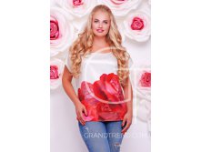  -25239 516  - 50-56.jpeg