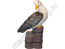 .12686       3116   461 +%.jpg