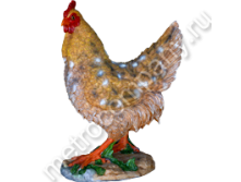 .12556-1       3033   702 +%.jpg