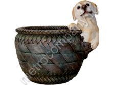 .11260      1719   340+%.jpg