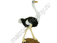 .12336     8452   1783 +%.jpg