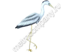 .16717         10575   1102 +%.jpg