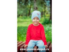 Арт. 045, 250 руб.