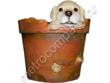 .11220        1715   313 +%.jpg