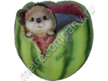 .11276    1819   330+%.jpg