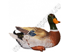 .12681       2115   291 +%.jpg