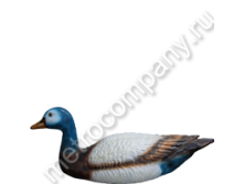 .12322      2550   823 +%.jpg